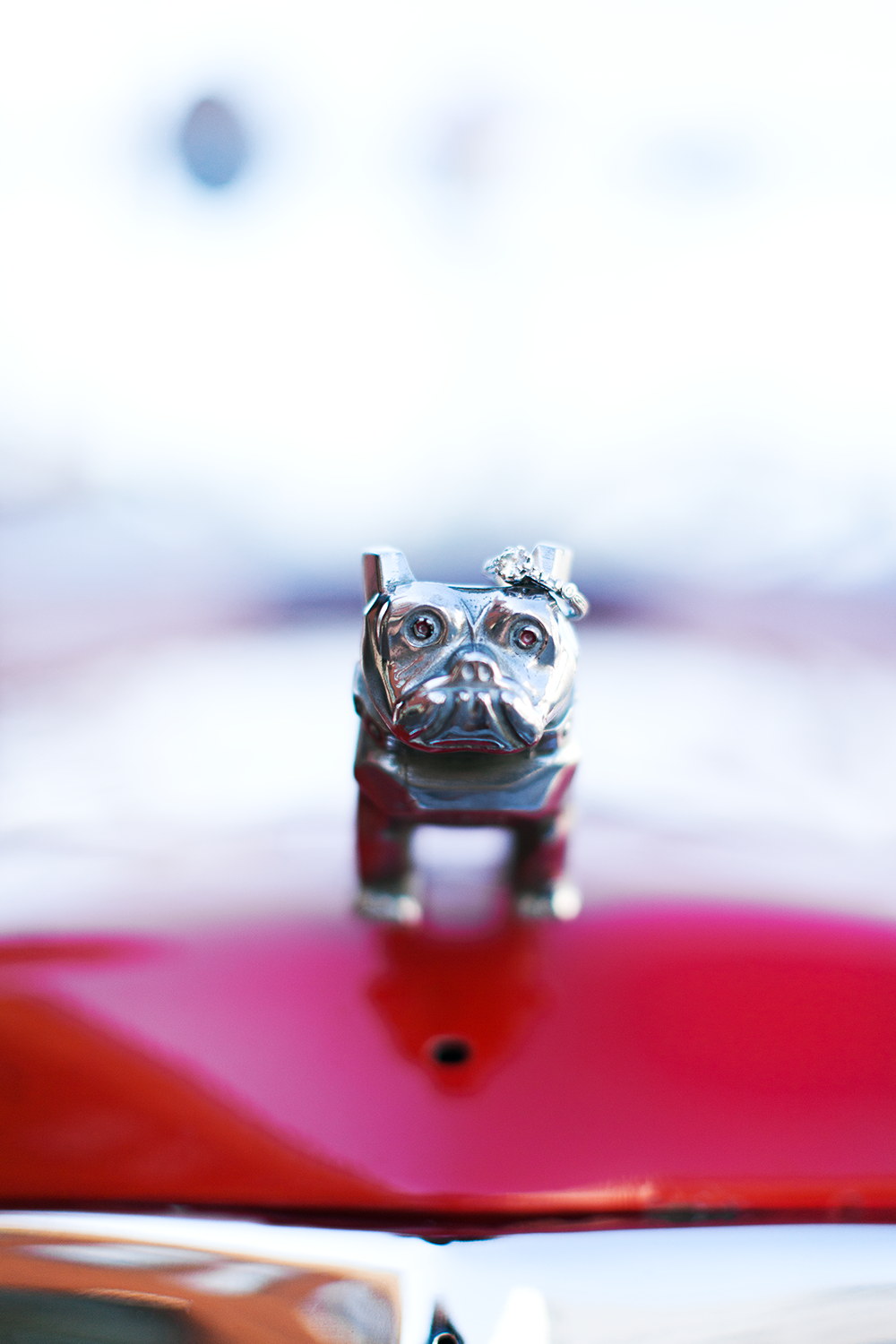 Tampa Wedding Photographer