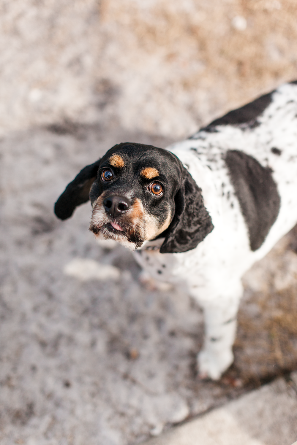 Fort Lauderdale Wedding Photographer