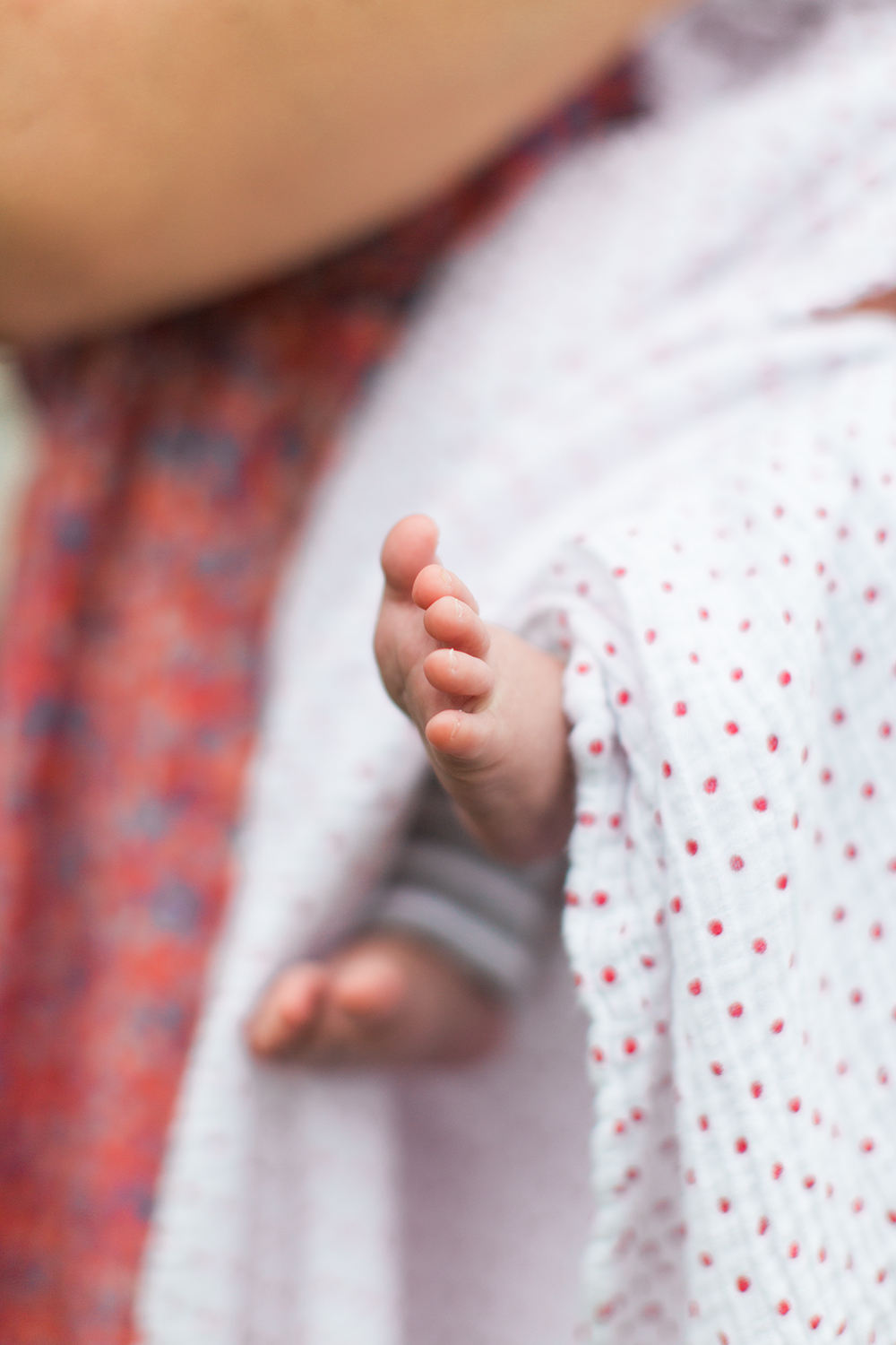 Vermont Photographer