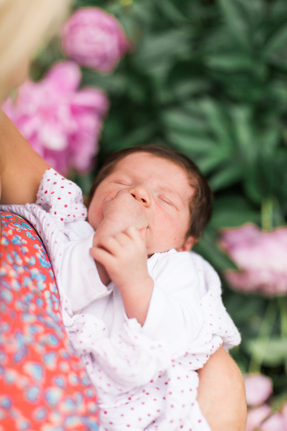 Vermont Photographer