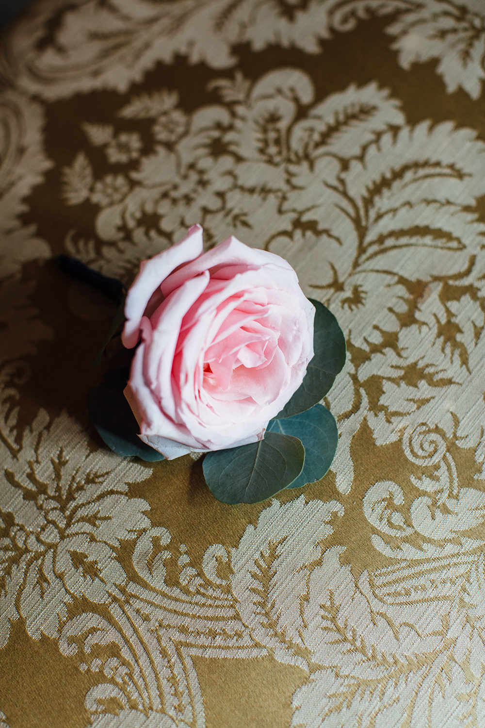 Florida wedding photographer