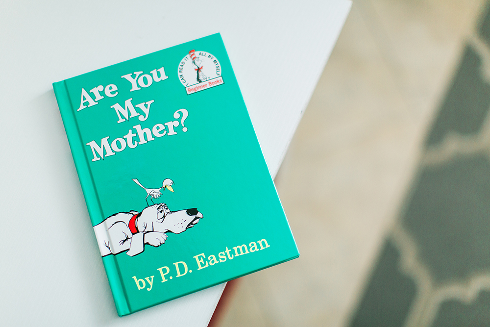 Florida Maternity Photographer