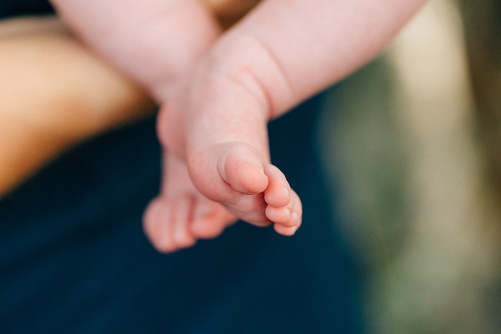 Finding Light Photography