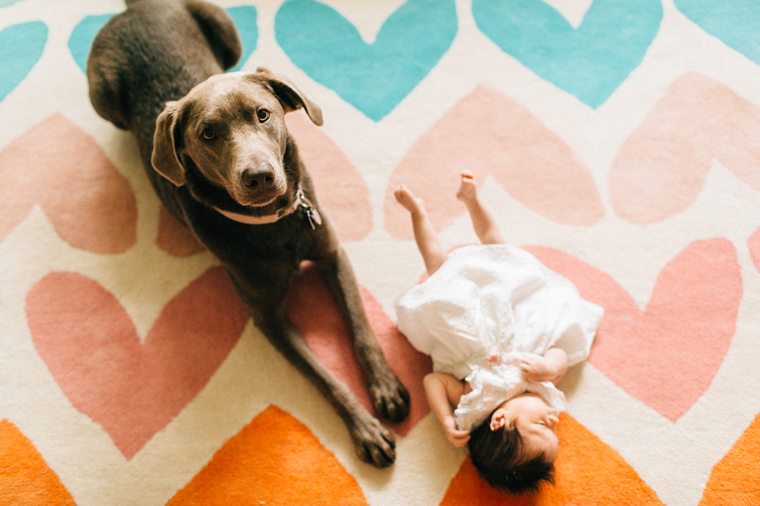 Fort Lauderdale Newborn Photographers
