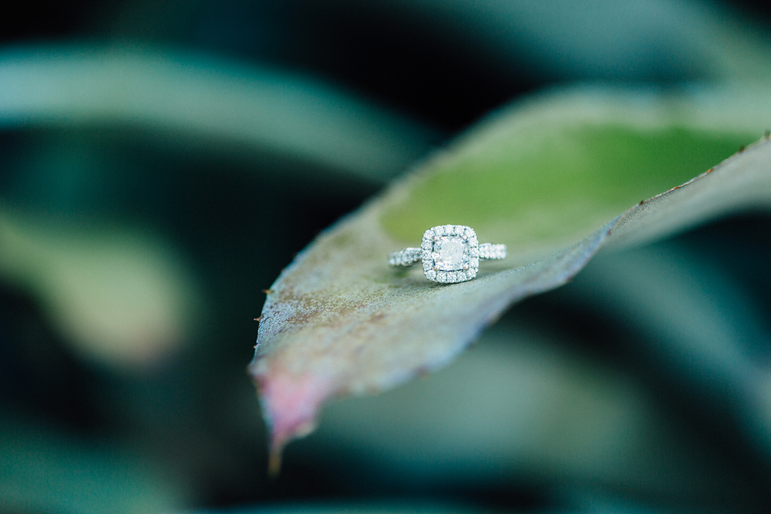 Finding Light Photography Fort Lauderdale Engagement Photographer