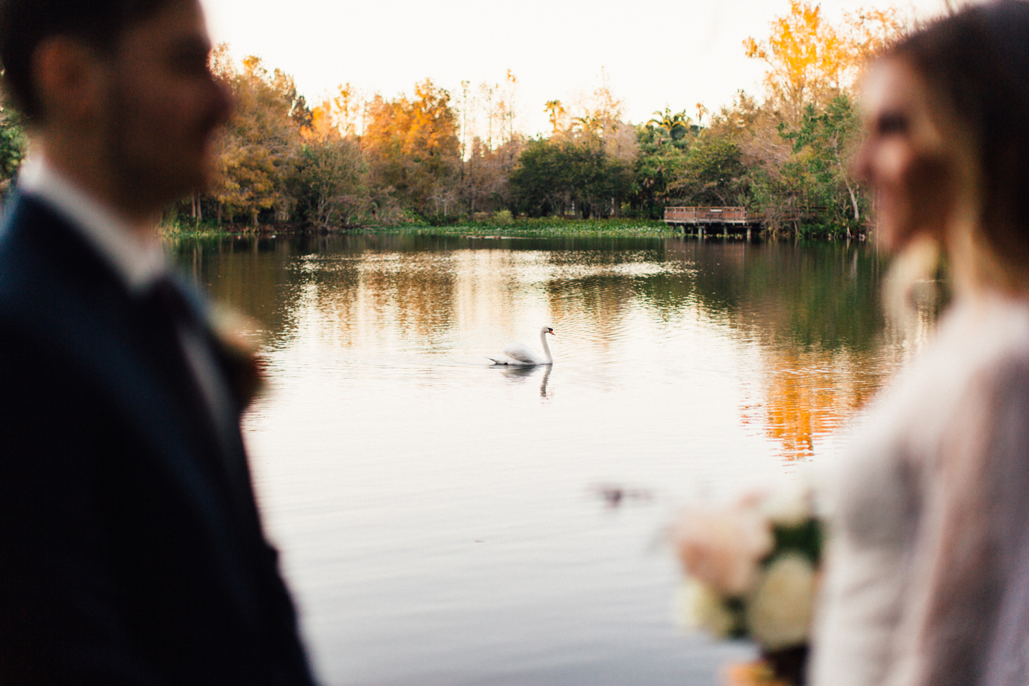 Finding Light Photography Flamingo Gardens Wedding
