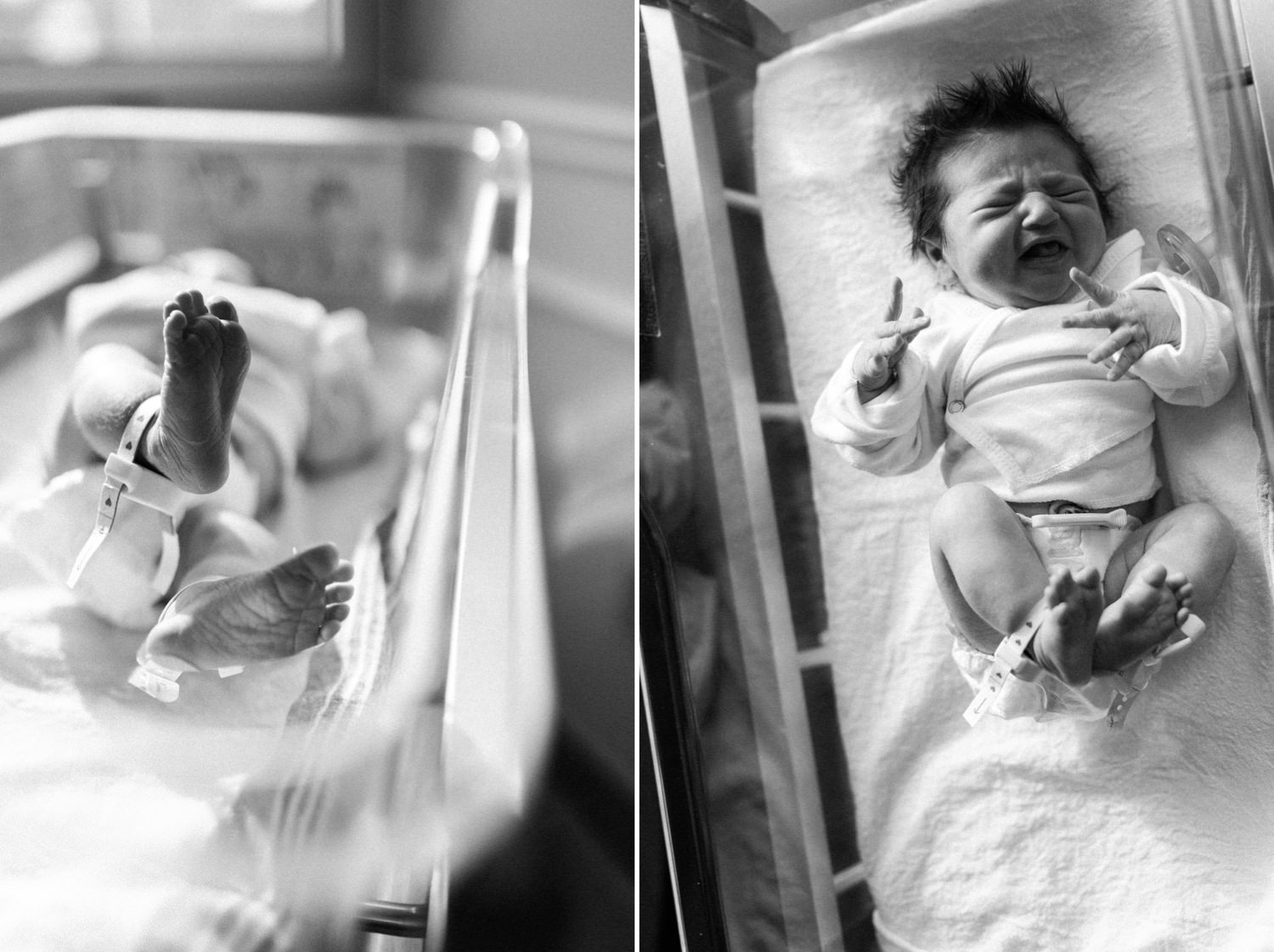 South Florida Newborn Photographer Fresh 48 Photos Boca Raton